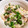 クックOWPJU3☆'s cooksnap of when they made 鮭ときのこの炊き込みご飯.