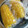 せっかちマミ〜's cooksnap of when they made レンチン５分！簡単で甘い蒸しとうもろこし.