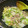 檸檬パン's cooksnap of when they made エリンギと白菜のガリバタ炒め.