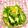 クックみゅーみゅー's cooksnap of when they made サラダチキンで無限ピーマン.