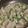 麻羽香's cooksnap of when they made こんにゃくのネギ塩炒め.