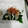 大魔女's cooksnap of when they made ◆つるむらさき＆マヨネーズ◆.