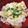 クックE04FUY☆'s cooksnap of when they made 鶏むね肉とキャベツで！塩味親子丼♪.