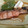 クック6DDPP8☆'s cooksnap of when they made 簡単 ご飯がススム！ 鮭の焼き浸し.