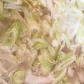 Hightea1's cooksnap of when they made 男のがっつりにんにくスープ！ねぎ大量だよ.