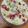 美食菜's cooksnap of when they made トマト&ミックスベジ☆ラーメングラタン.