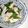ぁぉﾋﾟｧｽ's cooksnap of when they made バジルと鶏胸肉の和え物.