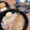 みーのむし”'s cooksnap of when they made きつねうどん お稲荷さんに 味付き油揚げ.