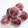 Satoco❋'s cooksnap of when they made 驚きのいちじく保存方法！.
