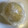 きゃろぽて's cooksnap of when they made さつまいもの洋風まんじゅう.