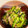 りんば's cooksnap of when they made ゴーヤとみょうがの塩こぶ和え.