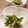 ♡てるてる♡'s cooksnap of when they made レンチン！胡麻オクラ.