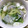 ☆くらこ☆'s cooksnap of when they made イワシのつみれ汁.