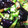 クックEGIVJ7☆'s cooksnap of when they made 茄子とオクラ炒め.