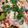 クックT3GEU4☆'s cooksnap of when they made 揚げナスとベーコンのトマトソース♪パスタ.