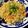 ☆さぶ☆☆'s cooksnap of when they made ＊美味い！塩麹で鮭炒飯＊.