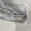 おっちむ＊'s cooksnap of when they made さんまの捌き方〜簡単ハラワタ取り〜.