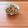 Etsu☆ko's cooksnap of when they made 簡単!!炒り豆腐.