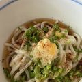 ☆ayumikan☆'s cooksnap of when they made 冷やしぶっかけうどん★ネギまみれ.
