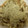 あっしゅぱぱ's cooksnap of when they made 【農家のレシピ】きのこの酒蒸し.