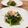 horseland's cooksnap of when they made ほうれん草おかか.