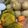 ﾌﾞﾚﾝﾀﾞ's cooksnap of when they made 炊飯器でらくらくゆでたまご。.