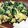 ゆ→ちむ❦180SX's cooksnap of when they made 幼児食にも！卵ふんわり✿ニラ玉.
