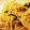 のりのり３'s cooksnap of when they made 秋満載！鮭ときのこの和風パスタ.