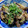 ゆみしゅー's cooksnap of when they made 超簡単♪豚肉と茄子とﾋﾟｰﾏﾝの味噌炒め.