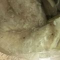 みきんどる's cooksnap of when they made フライパンで簡単☆鶏のホイル焼.