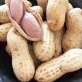 まろろっく's cooksnap of when they made 【圧力鍋8分】生落花生の塩茹で.