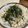 papikun's cooksnap of when they made しらすパック活用●海苔しらすおろし丼.