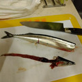 ちばと's cooksnap of when they made 簡単！早い！きれい！秋刀魚の内臓のとり方.
