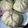 クックXMJ8I1☆'s cooksnap of when they made 肉まん（ＨＢ生地）.