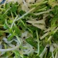 あゆたっくん's cooksnap of when they made 豆苗と千切り大根の中華サラダ　.