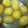 Yukiまむ's cooksnap of when they made 栗の甘露煮.