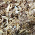 クック8SSYN0☆'s cooksnap of when they made 豚バラとエノキの玉子とじ炒め.
