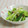 umemodoki's cooksnap of when they made これ美味しい！長ネギ炒め.