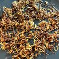 aquicco's cooksnap of when they made 揚げない！フライドオニオン.