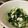 Remtan's cooksnap of when they made ヘルシー豆苗と鶏ささみのナムル❤おひたし.