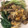 ベティ３'s cooksnap of when they made 青梗菜とまいたけの卵炒め.