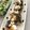 フジぽん's cooksnap of when they made 魚臭くない！さばのおろし照り焼き.