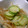 ponsyuke♪'s cooksnap of when they made 簡単便利☆もやしときゅうりの和え物.
