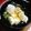 ルチアーノ★★★'s cooksnap of when they made 鱈の雪見みぞれ鍋.