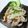 たまさぶろうの部屋's cooksnap of when they made ごぼチキン味噌マヨサラダ.