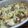 nkt＋あ's cooksnap of when they made ☆ｴﾘﾝｷﾞのみで一品☆.