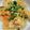クックY08S17☆'s cooksnap of when they made めんつゆで簡単節約！ふんわり油揚げ丼.