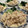 akitakomac's cooksnap of when they made 鶏ささみともやしの胡麻ダレサラダ♫.