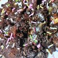 おとなのおねえさん's cooksnap of when they made 材料２つ簡単しっとりチョコケーキ炊飯器.