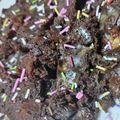 おとなのおねえさん's cooksnap of when they made 材料２つ簡単しっとりチョコケーキ炊飯器.